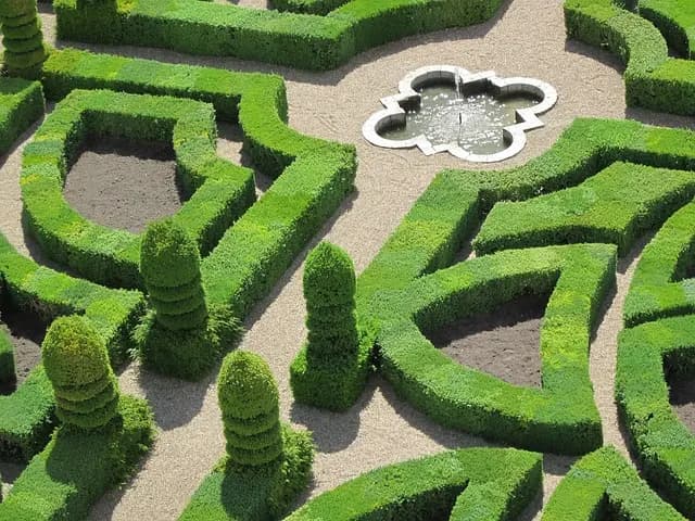 Comment créer vos propres mélanges de plantes médicinales