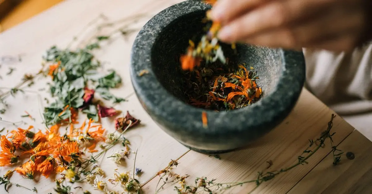 Les 10 plantes essentielles de l'herboristerie à connaître