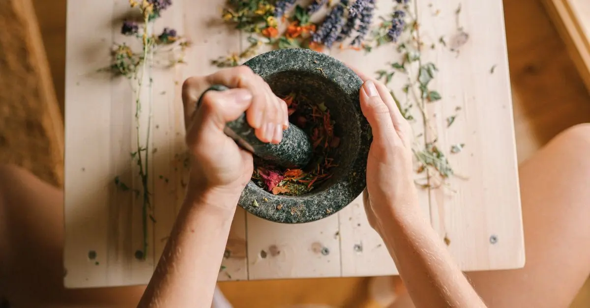 Guide des plantes médicinales pour apaiser l'anxiété