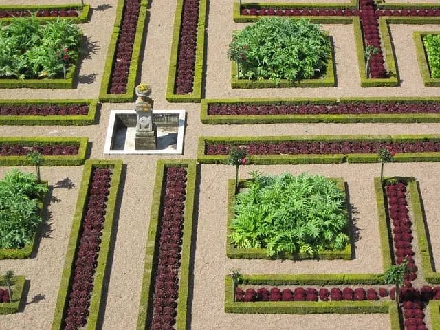 Les bienfaits de l'hyssope : une plante aux multiples vertus