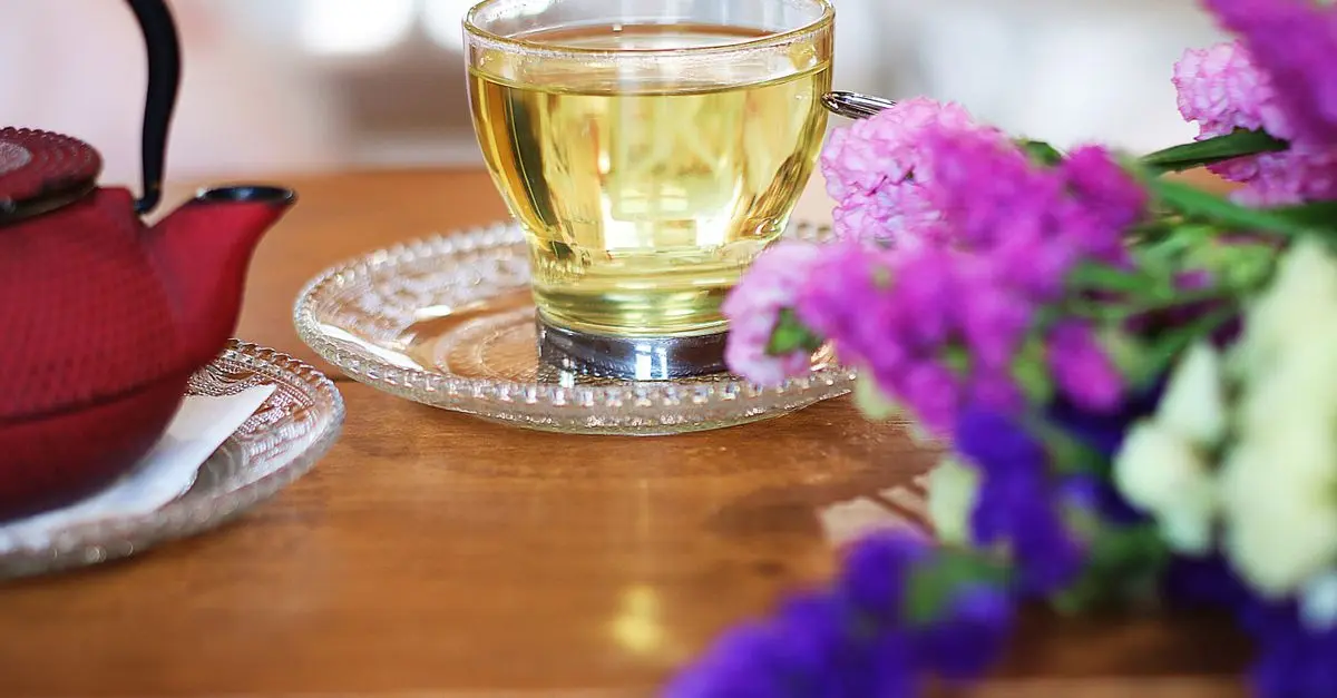Comment préparer une infusion de thym pour booster votre santé