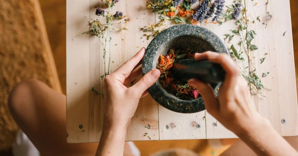 Les meilleures plantes pour améliorer votre digestion