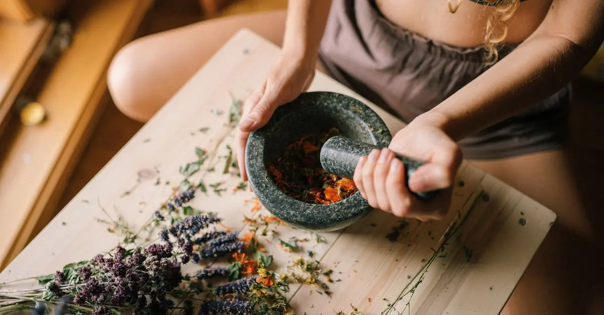 Herboristerie : Comment utiliser les plantes pour le bien-être