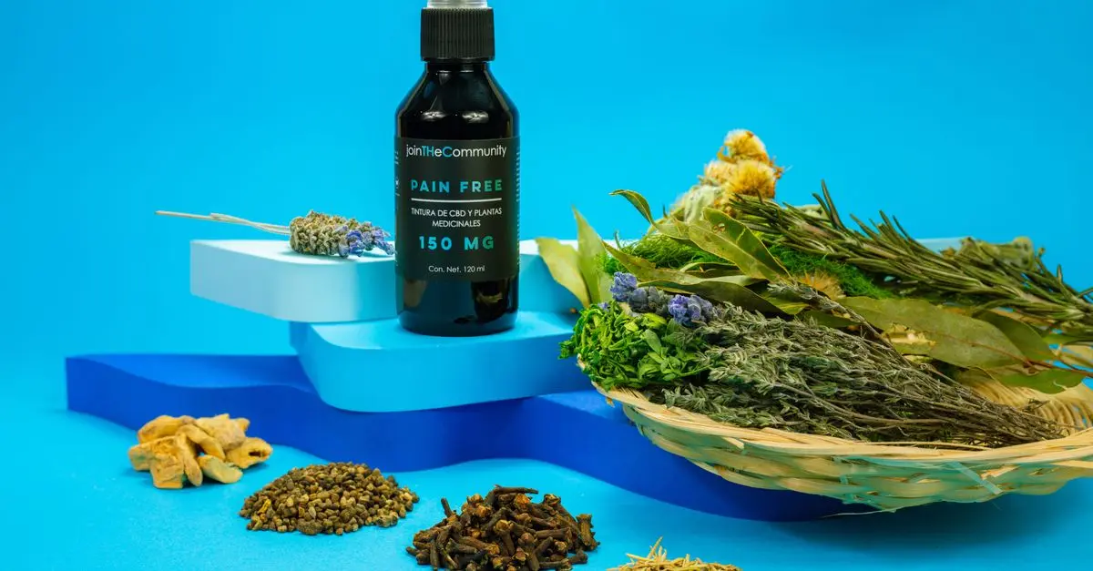 Top 5 des plantes pour renforcer votre système immunitaire