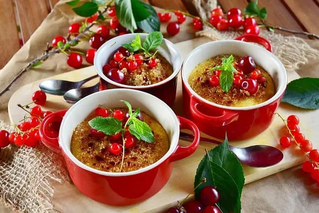 Les propriétés bénéfiques de la menthe : santé et bien-être
