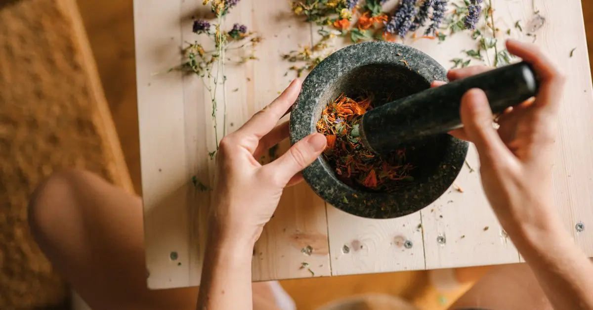 Comment préparer une décoction de plantes médicinales
