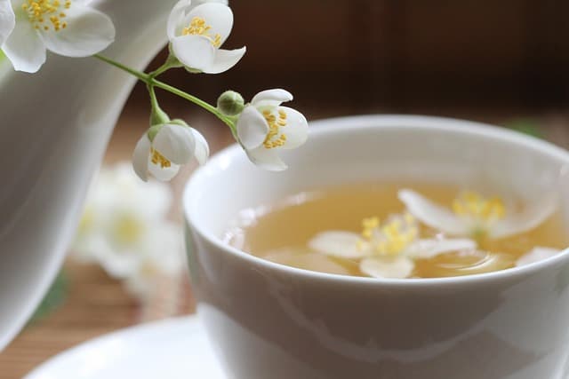 Comment utiliser les plantes pour renforcer votre système immunitaire